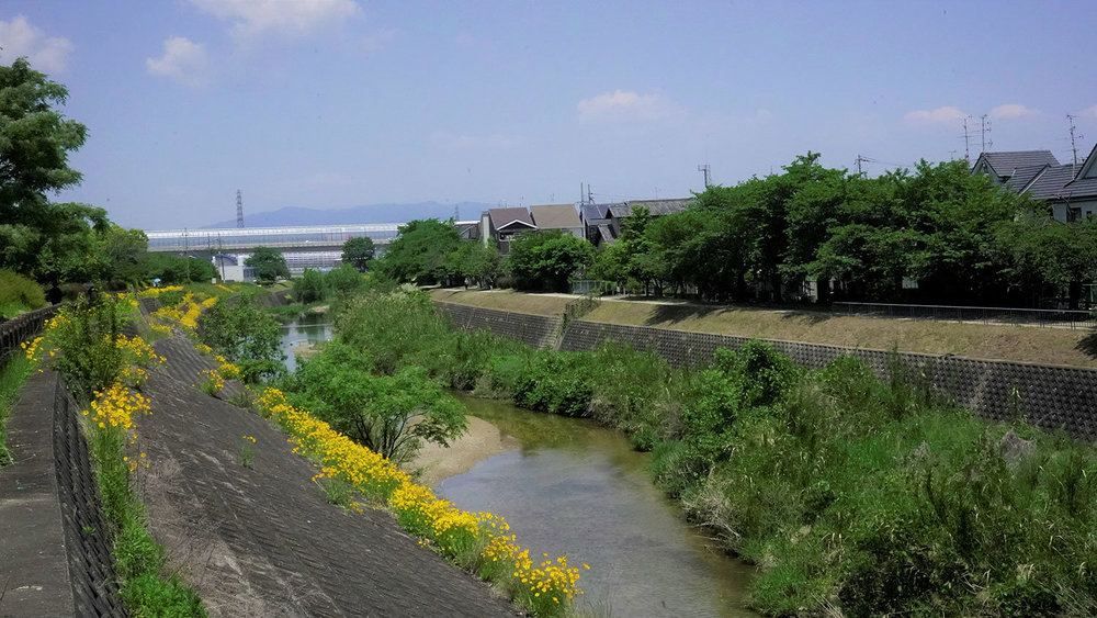 枚方 交野 サイクリングコース