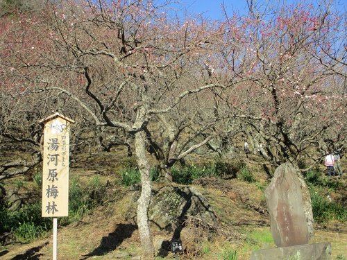 真鶴半島サイクリング