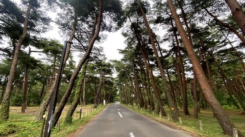 近江から敦賀へサイクリング