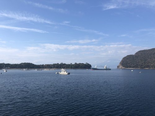 駿河湾一周サイクリング