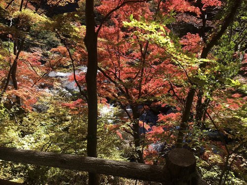 御嶽昇仙峡 サイクリング