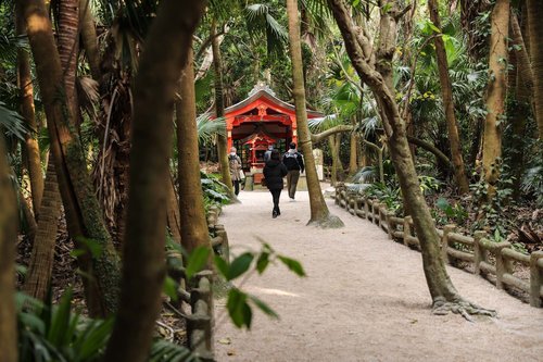 青島神社シーサイドサイクリング