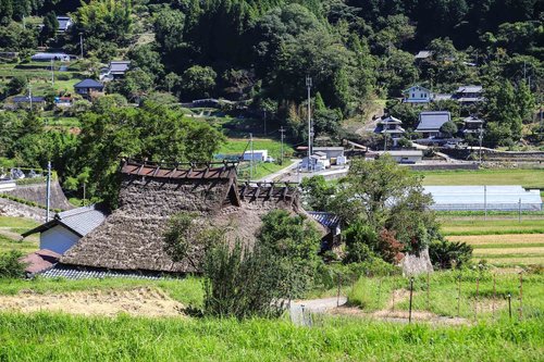 長谷の棚田サイクリング