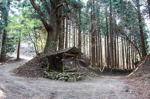 長谷の棚田サイクリング