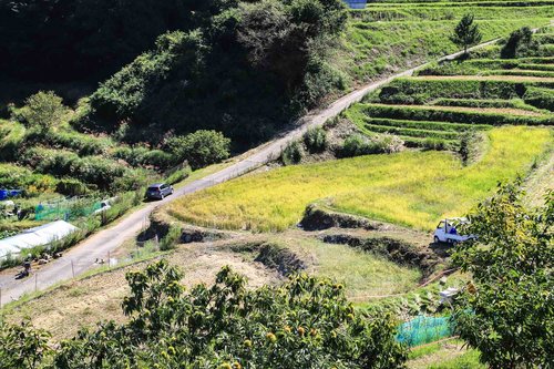 長谷の棚田サイクリング