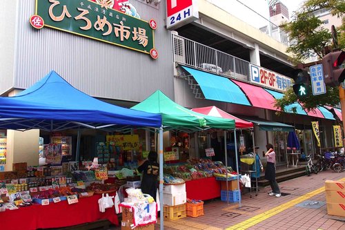 桂浜サイクリング