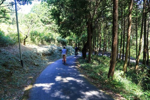 長谷の棚田サイクリング