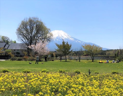 花の都公園サイクリング