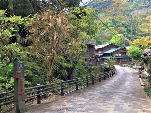 玉露の里サイクリング