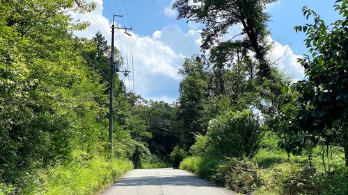 長生き展望台サイクリング