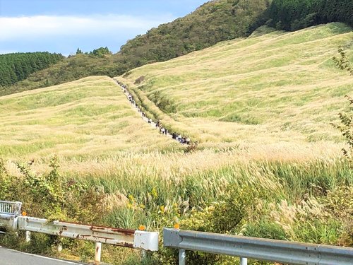 芦ノ湖絶景サイクリング