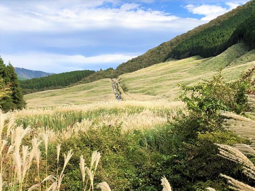 芦ノ湖絶景サイクリング