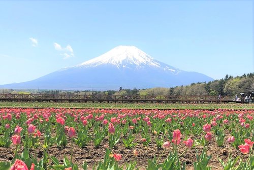 花の都公園サイクリング