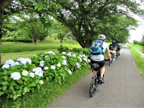 長生き展望台サイクリング