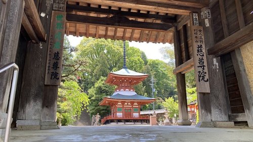 紀の川サイクリングロード