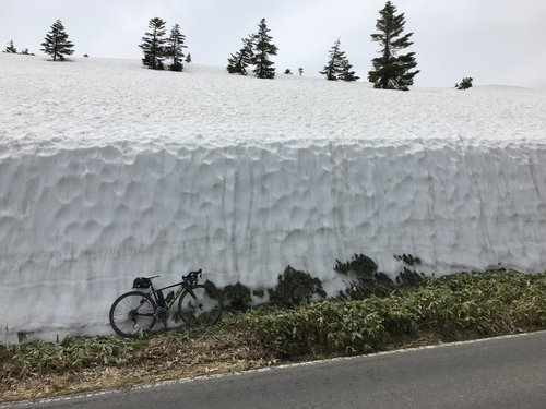 雪の回廊