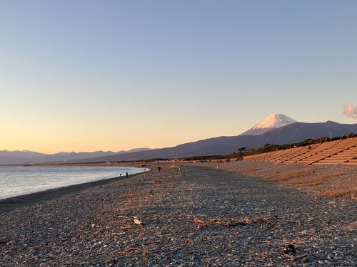 沼津ローカル巡りサイクリング