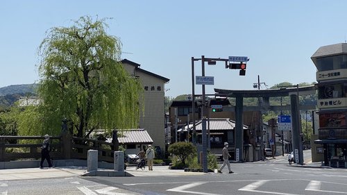 さくら出会い館宇治サイクリング