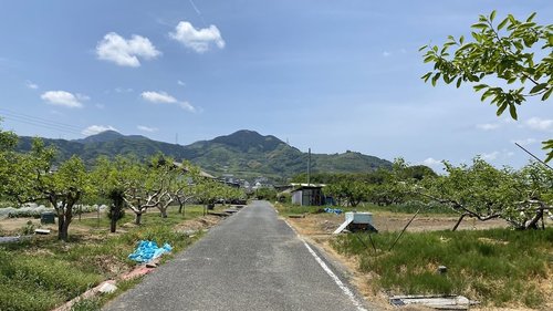 紀の川サイクリングロード