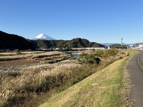 三島発 修善寺サイクリング