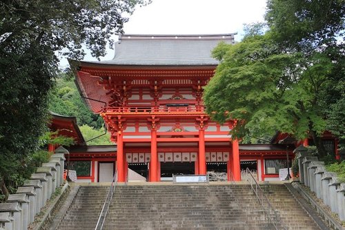 近江神宮サイクリング