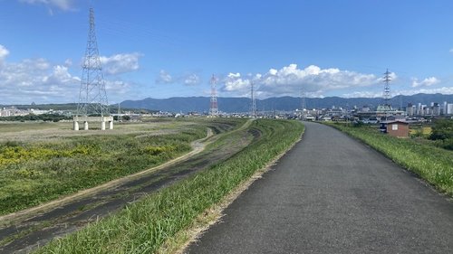 さくら出会い館宇治サイクリング