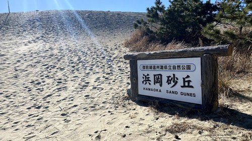 浜岡砂丘サイクリング