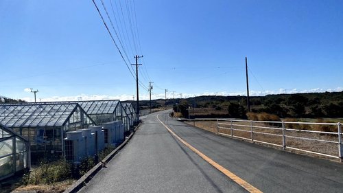 浜岡砂丘サイクリング