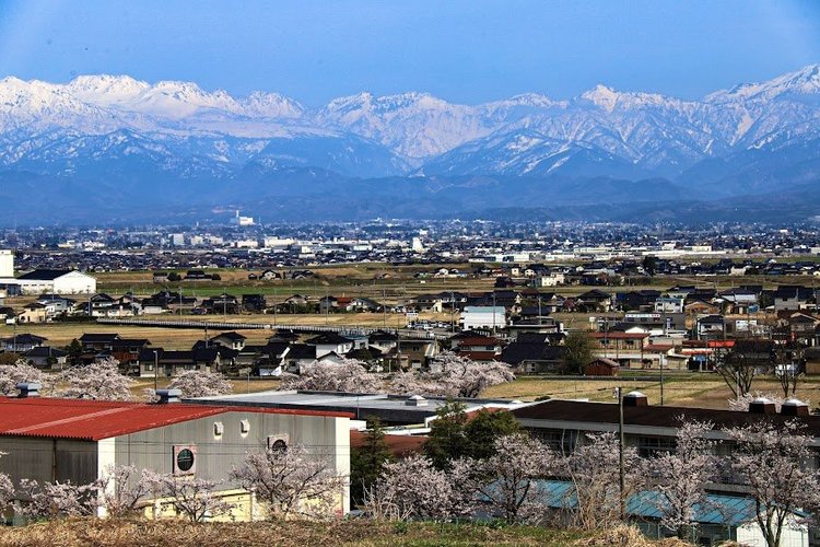 八尾のまちなみ探索サイクリング