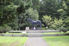 北海道桜舞馬公園