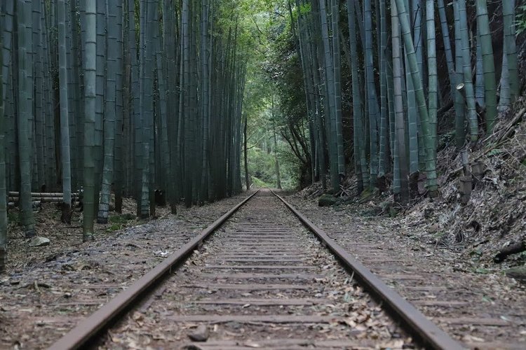 鳥取県旧国鉄倉吉線.jpg