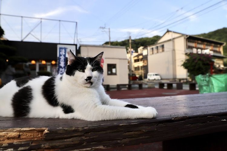 熊本県日奈久温泉５.jpg