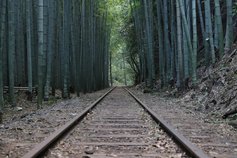 旧国鉄倉吉線跡のレールを目指す　真庭市～倉吉市山岳サイクリングコース