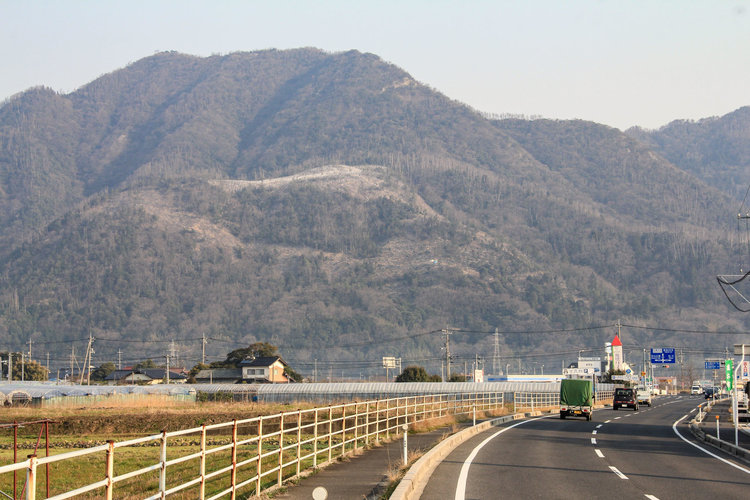 島根県出雲大社-6.jpg