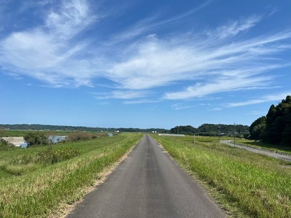 宮崎県綾の照葉大吊り橋５.jpeg