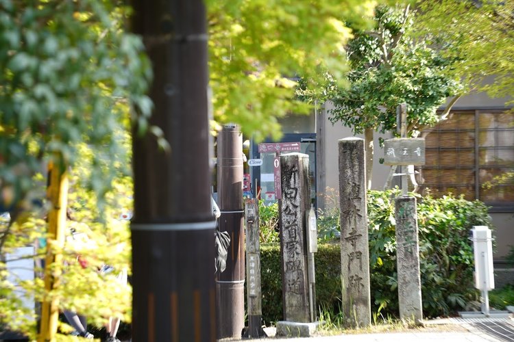 京都嵐山