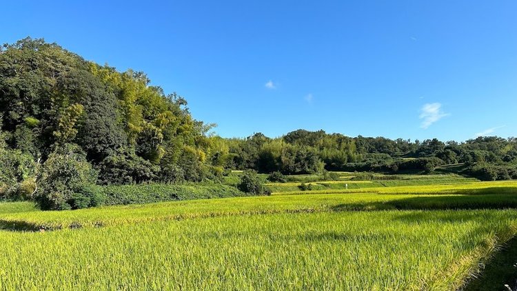 観音寺（普賢寺）３.jpg