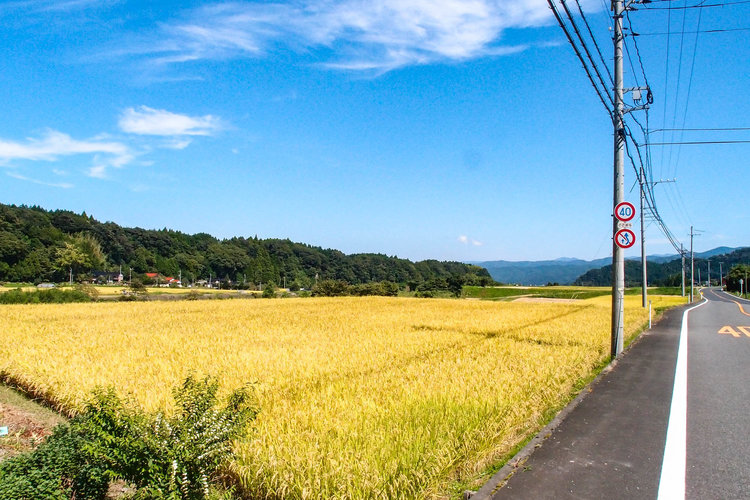 鳥取県倉吉市-1.jpg