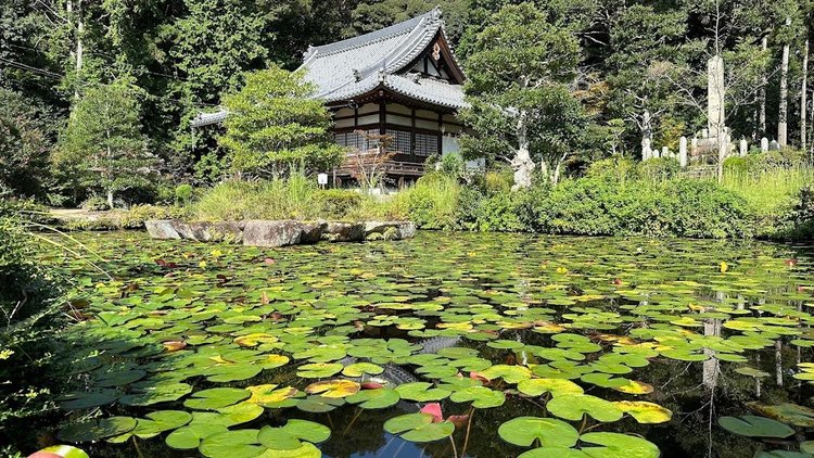 観音寺（普賢寺）.jpg