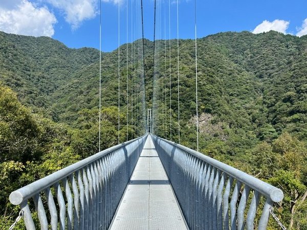 宮崎県綾の照葉大吊り橋１.jpeg