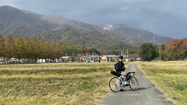 滋賀県メタセコイア並木２.jpg