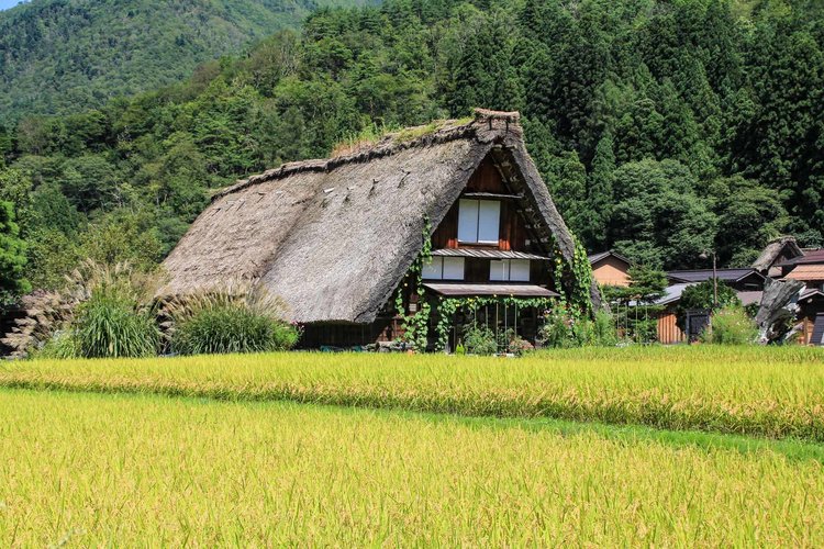 岐阜県白川郷-5.jpg