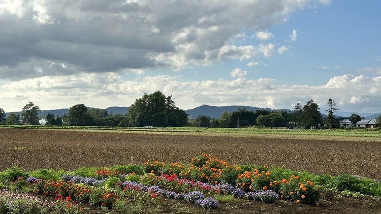 北海道俱知安町 (2).jpg