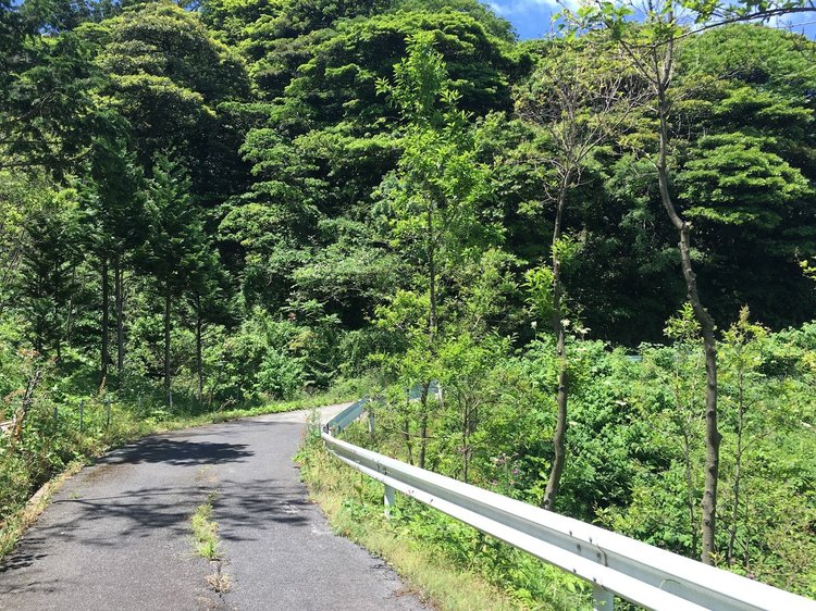 隠岐の島１