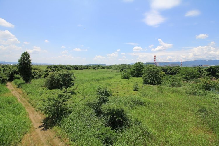 京都府伏見６