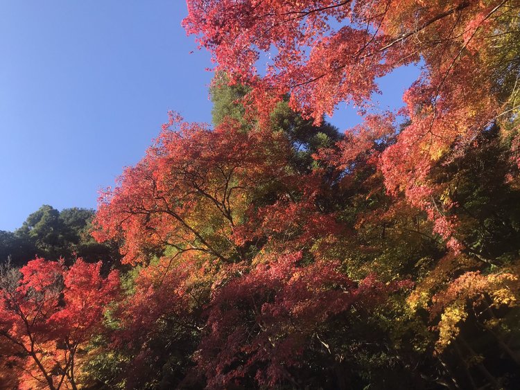 【大阪府-兵庫県】輪行なら日帰りも可能！温泉とグルメを堪能できる小旅行。3.jpg
