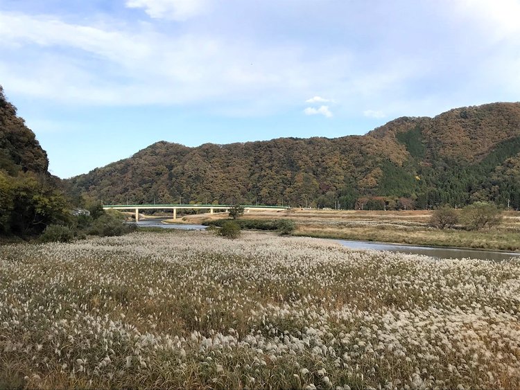 【大阪府-兵庫県】輪行なら日帰りも可能！温泉とグルメを堪能できる小旅行。2.jpg