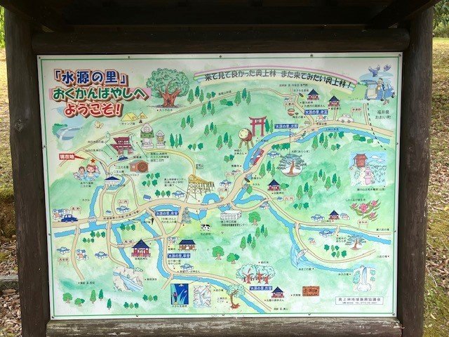 【京都府】ミツマタ・シャガ群生地を目指すファミリー向けコース～綾部温泉、綾部杉の里～2.jpg