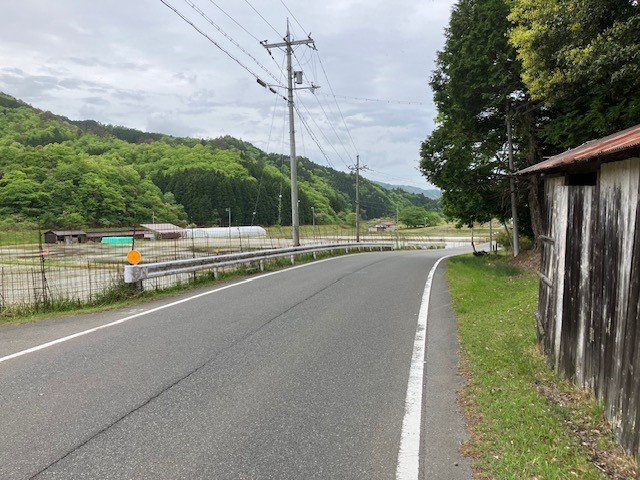 【京都府】ミツマタ・シャガ群生地を目指すファミリー向けコース～綾部温泉、綾部杉の里～5.jpg