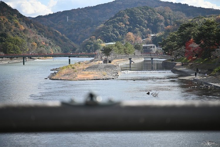 【京都府】宇治川沿いをのんびり走る初心者向けサイクリング～朝霧橋・喜撰橋・許波多神社へ5.jpg